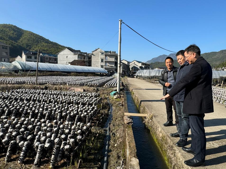 暖心慰問下派干部 聚勢助力共同富裕  浙江金控赴龍泉市八都鎮走訪慰問下派干部1 (2).png